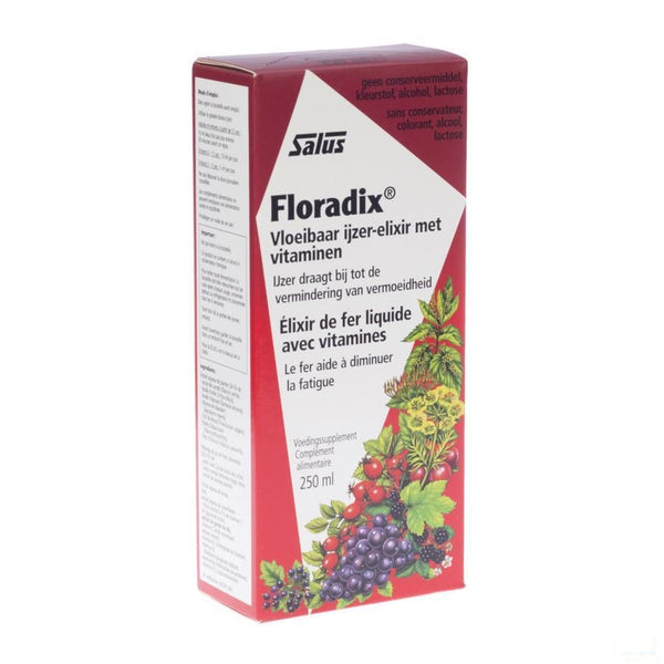 Salus Floradix Elexir 250ml - Ocebio - InstaCosmetic