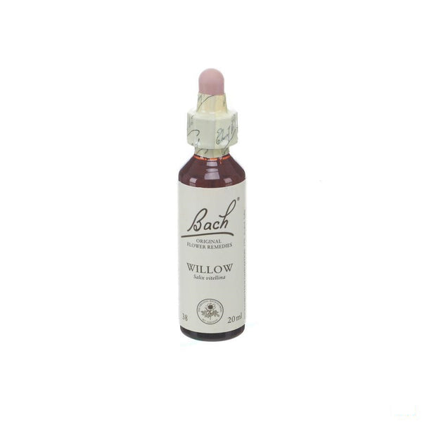 Bach Flower Remedie 38 Willow 20 Ml - Bach - InstaCosmetic