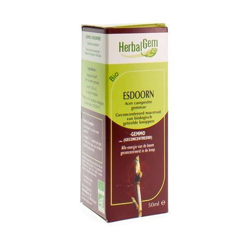 Herbalgem Esdoorn Maceraat 50ml - Herbalgem - InstaCosmetic
