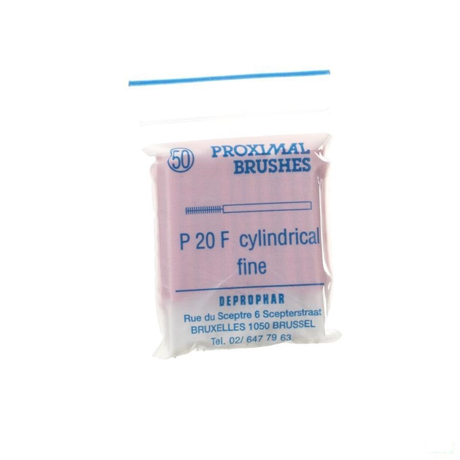 Proximal Borsteltje Cylindrisch Fine Red 50