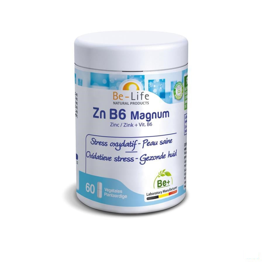 Zn B6 Magnum Minerals Be Life Gel 60