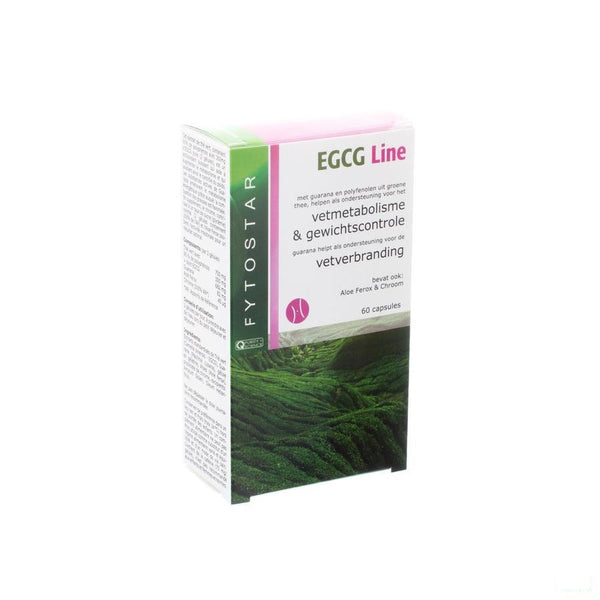 Fytostar Expertise Egcg Line Slimming Capsules 60 - Omega Pharma - InstaCosmetic