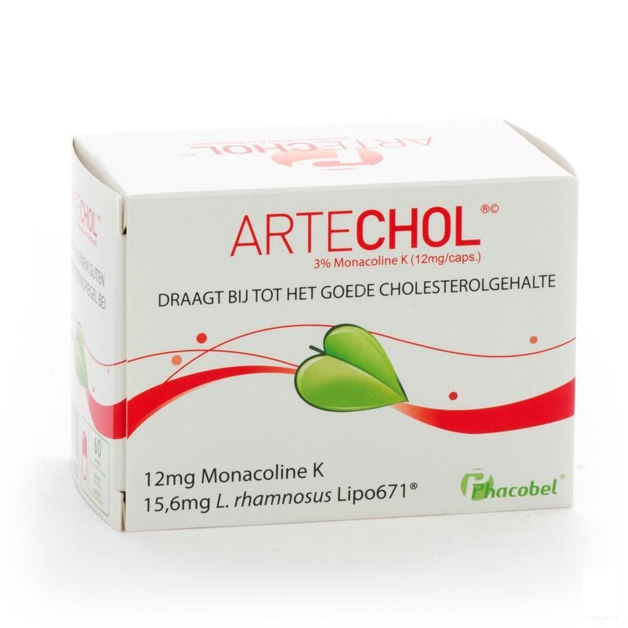 Artechol Gel 60