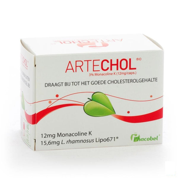 Artechol Gel 60 - Phacobel - InstaCosmetic