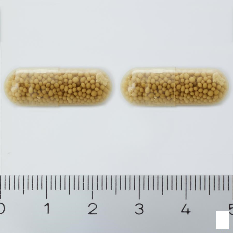 Cerevisia Capsules 30