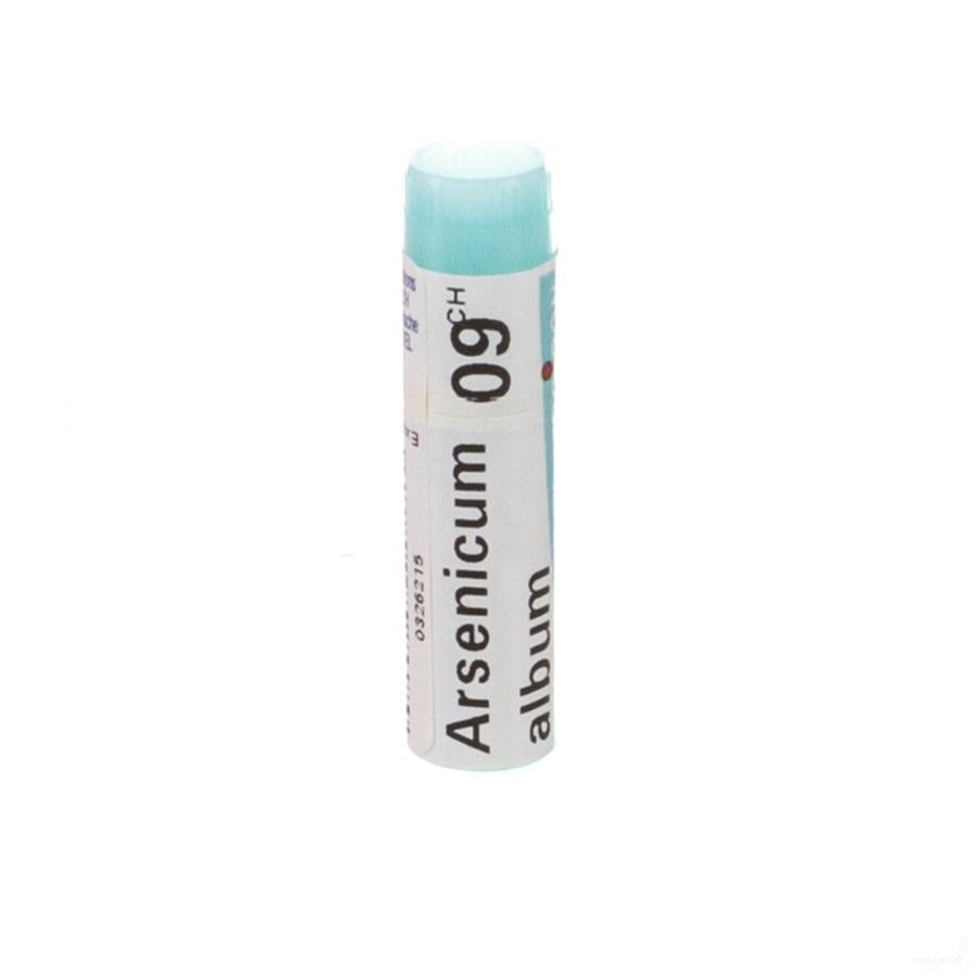 Arsenicum Album 9ch Gl Boiron