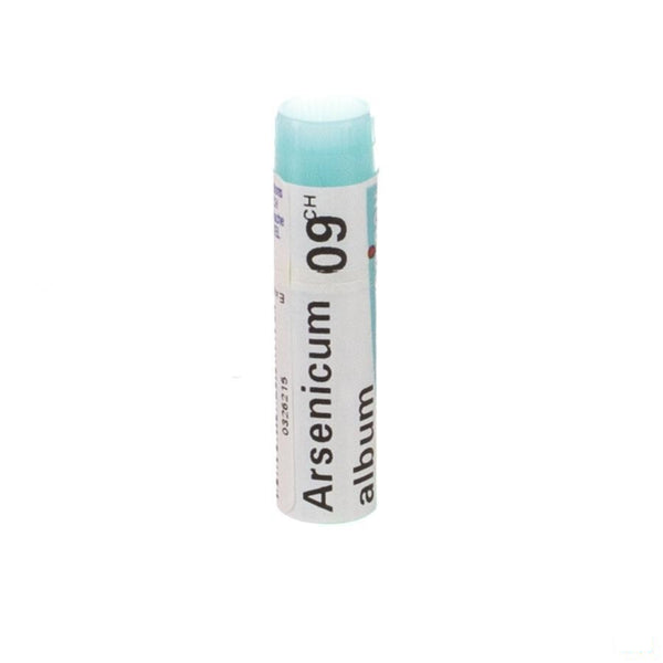 Arsenicum Album 9ch Gl Boiron - Boiron Hnc - InstaCosmetic