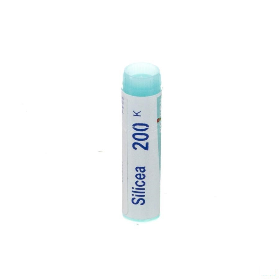 Silicea 200k Gl Boiron
