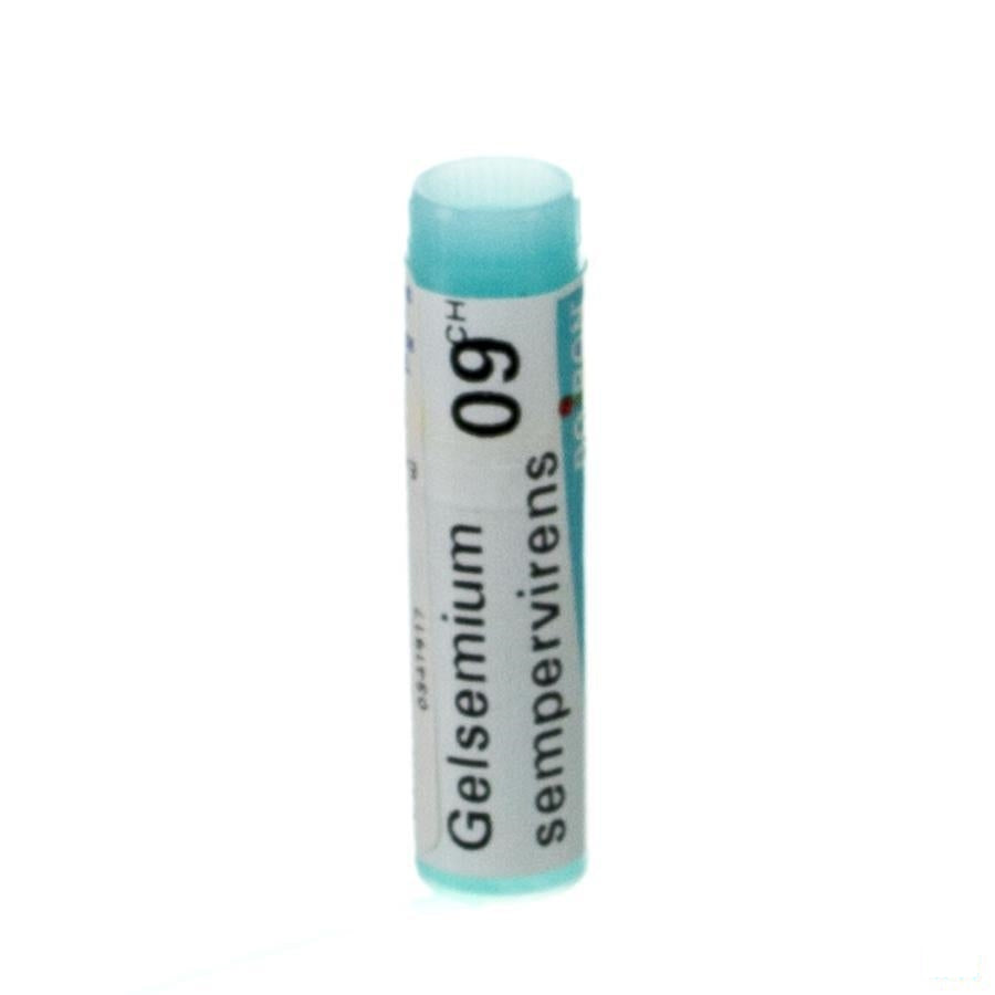 Gelsemium Sempervirens 9ch Gl Boiron