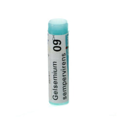 Gelsemium Sempervirens 9ch Gl Boiron