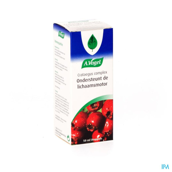 Vogel Crataegus Complex Gutt 50ml