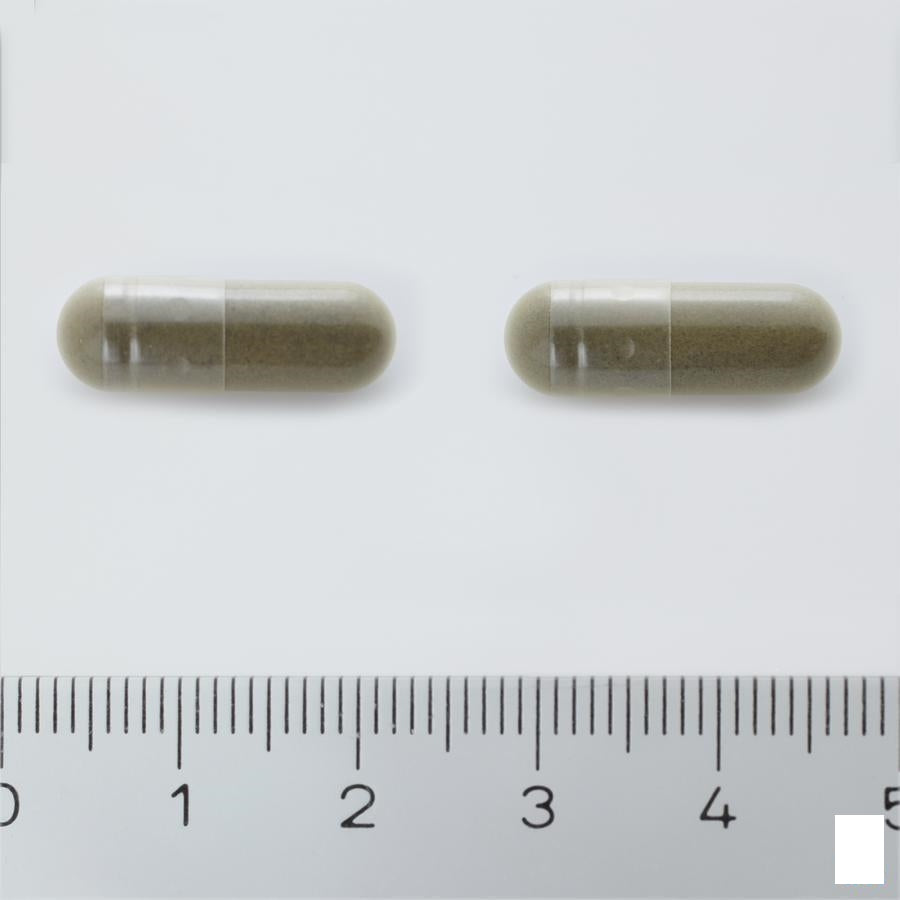 Arkocaps Ginkgo Biloba Plantaardig 45