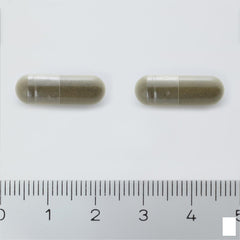Arkocaps Ginkgo Biloba Plantaardig 45
