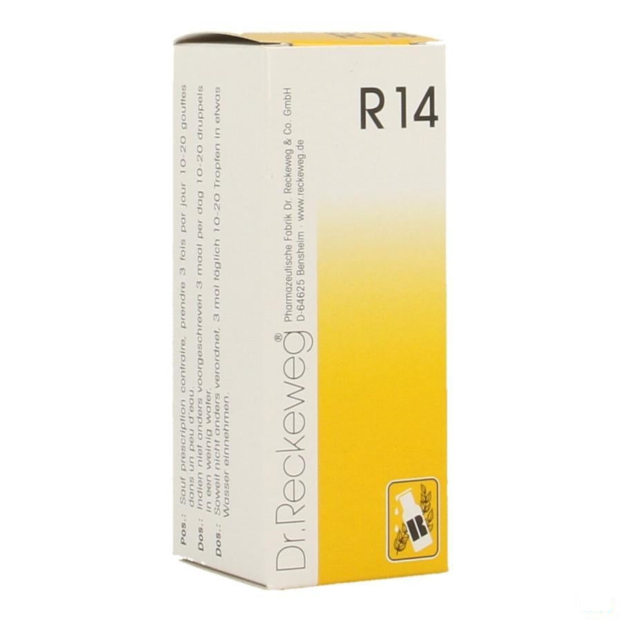 Reckeweg Dr. R14 Gutt 50ml