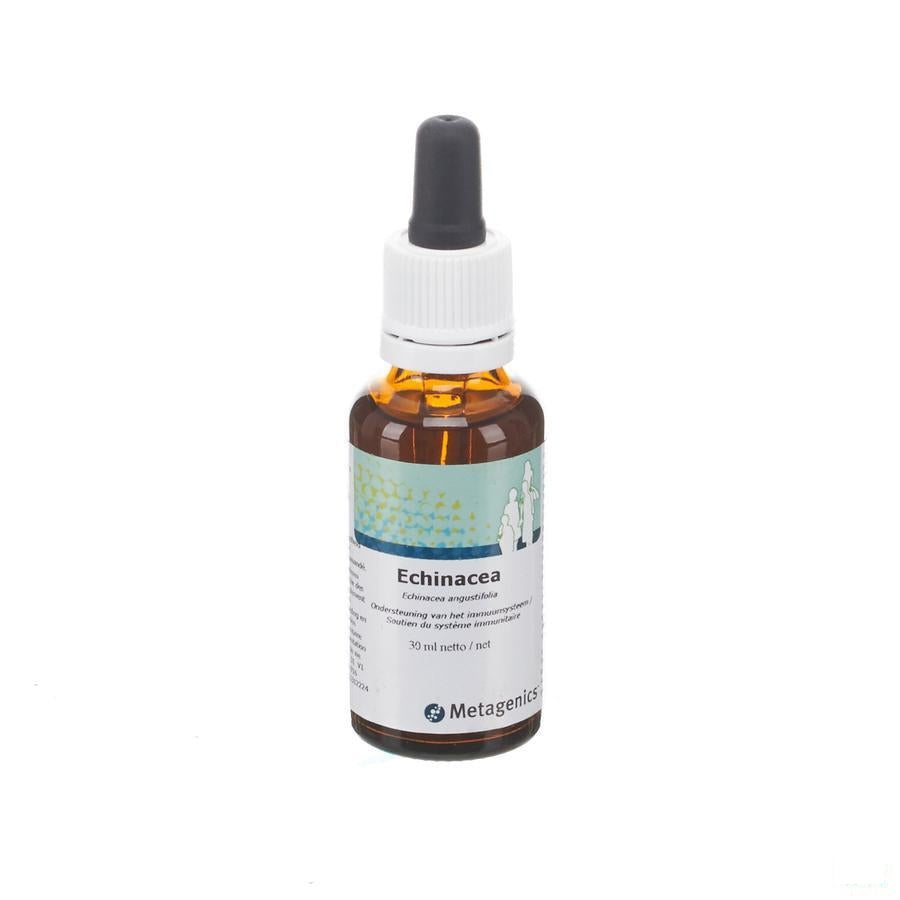 Echinacea Gutt 30ml 31 Metagenics