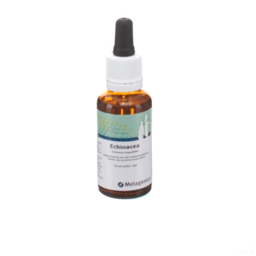 Echinacea Gutt 30ml 31 Metagenics