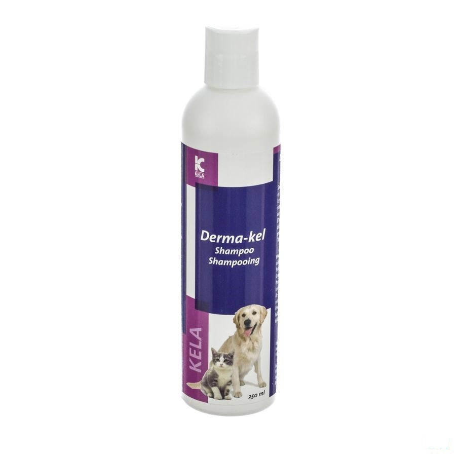 Derma-kel Shampoo 250ml