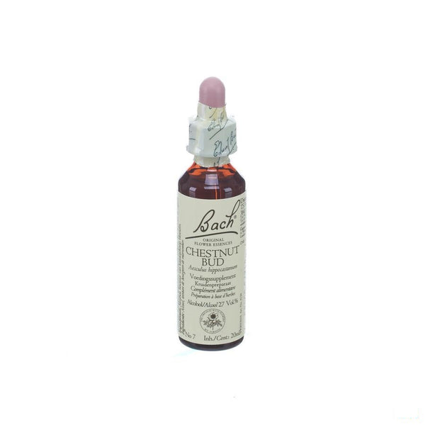 Bach Flower Remedie 07 Chestnut Bud 20ml - Bach - InstaCosmetic