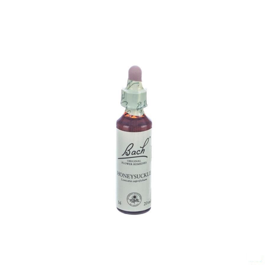 Bach Flower Remedie 16 Honeysuckle 20ml