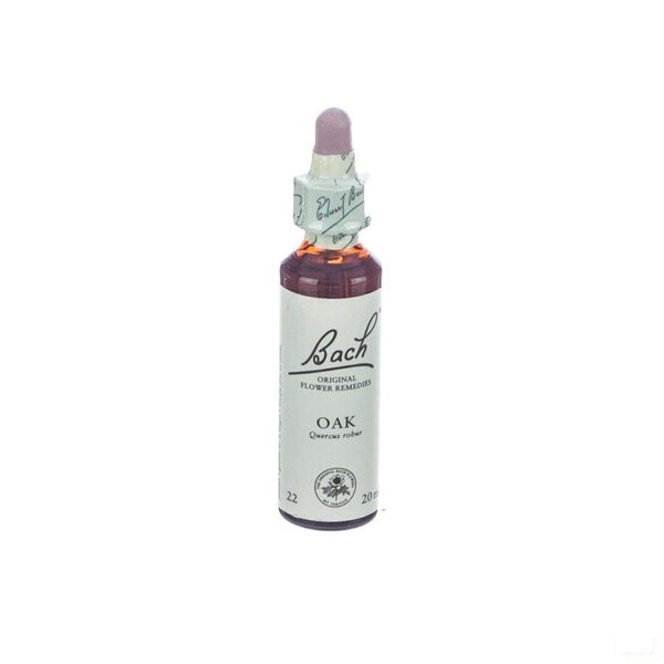 Bach Flower Remedie 22 Oak 20ml - Bach - InstaCosmetic