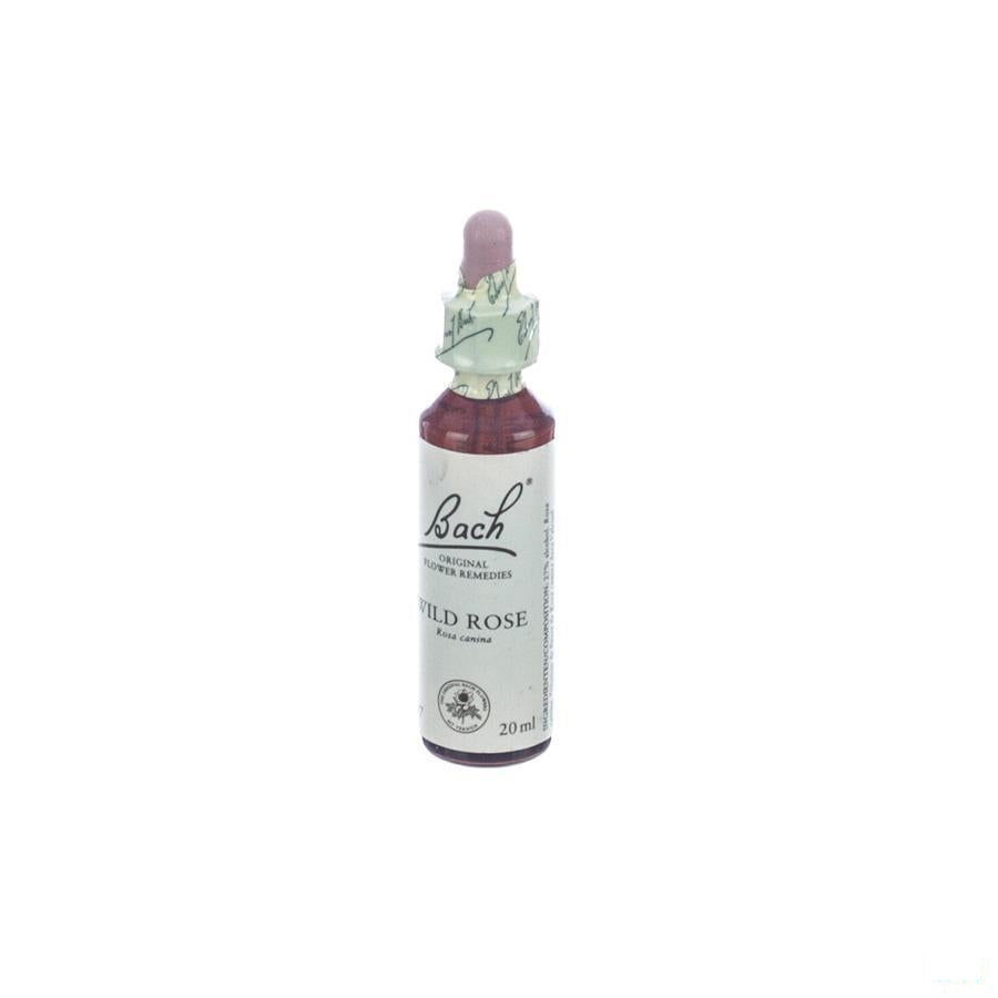 Bach Flower Remedie 37 Wild Rose 20 Ml