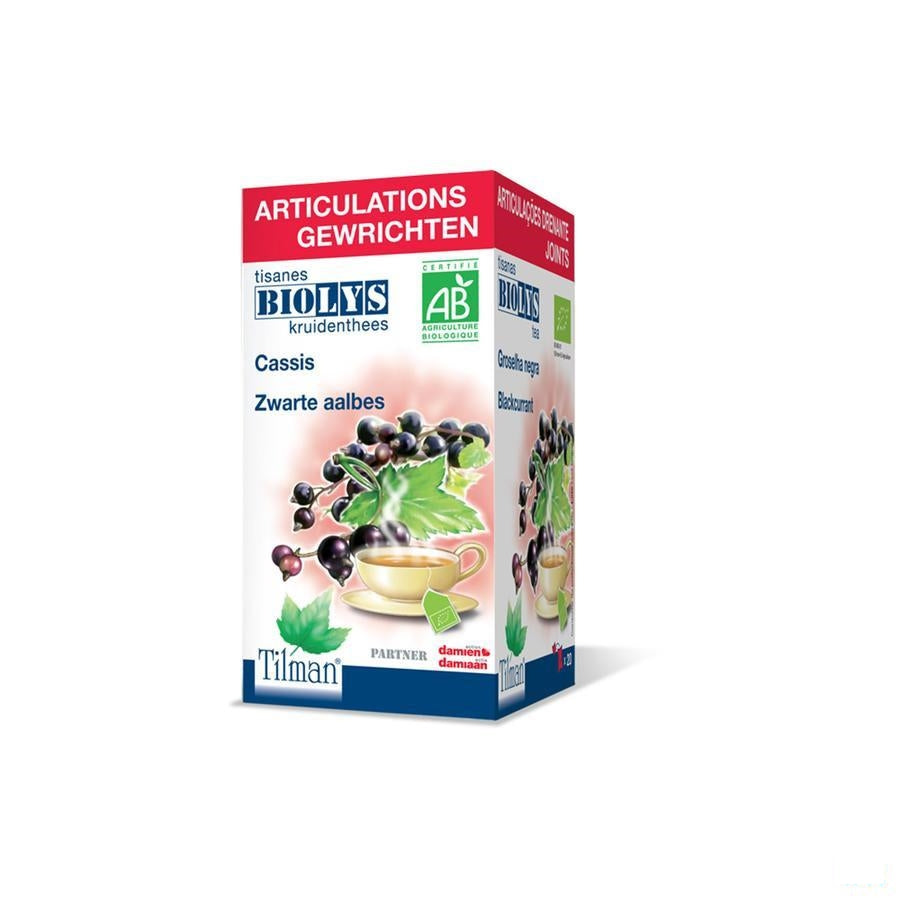 Biolys Aalbes Bio Tea-bags 20
