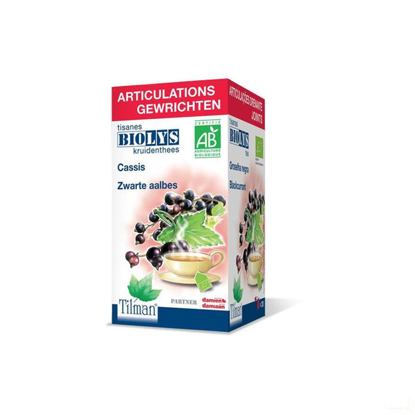 Biolys Aalbes Bio Tea-bags 20 - Tilman - InstaCosmetic