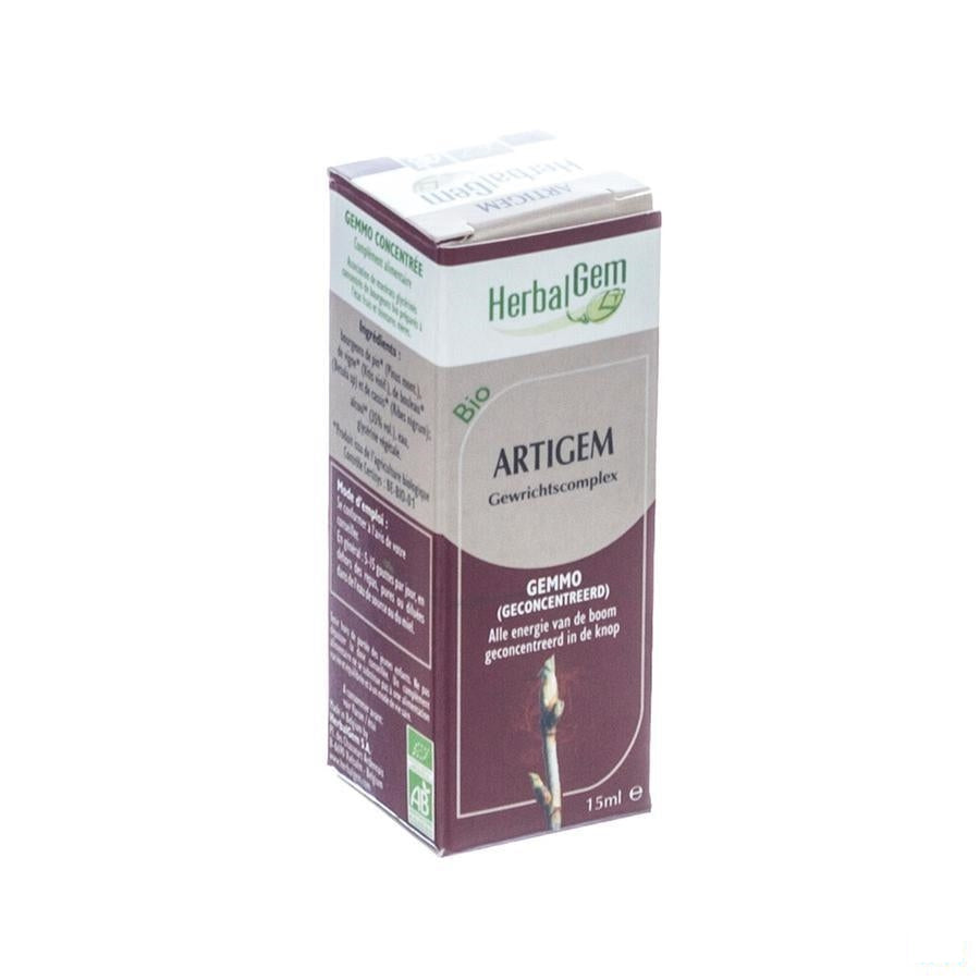 Herbalgem Artigem Complex 15ml