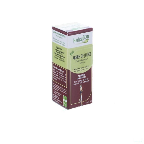 Herbalgem Judasboom Maceraat 15ml - Herbalgem - InstaCosmetic