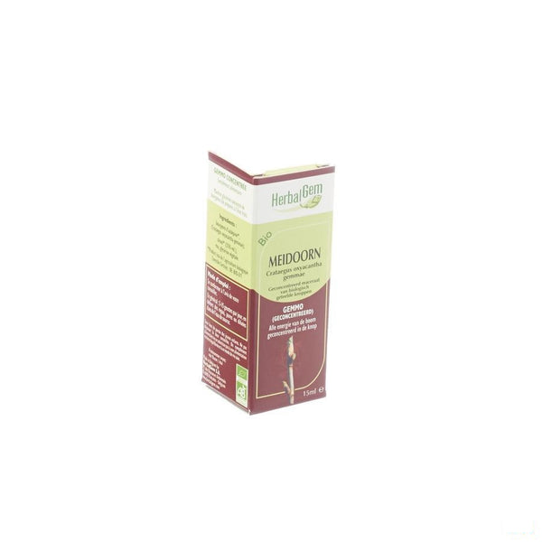 Herbalgem Meidoorn Maceraat 15ml - Herbalgem - InstaCosmetic