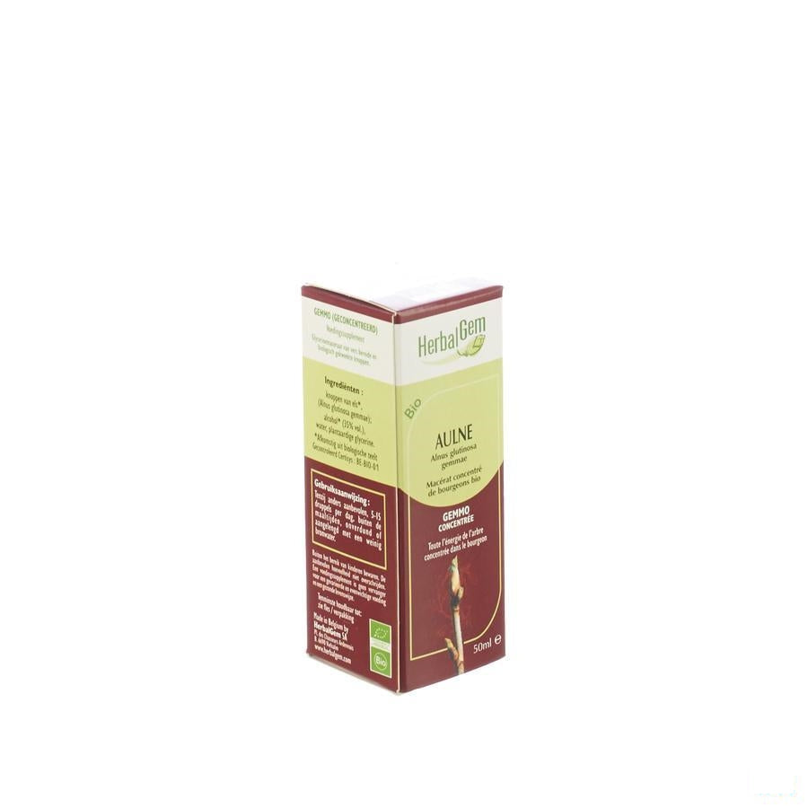 Herbalgem Els Maceraat 50ml