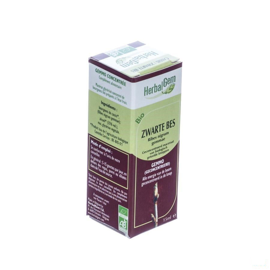 Herbalgem Zwarte Bes Maceraat 15ml