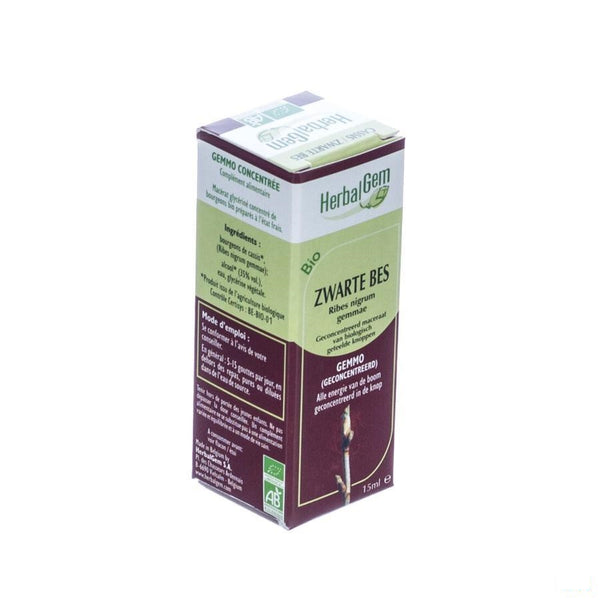 Herbalgem Zwarte Bes Maceraat 15ml - Herbalgem - InstaCosmetic