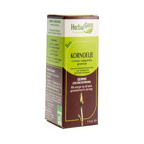 Herbalgem Kornoelje Maceraat 15ml - Herbalgem - InstaCosmetic