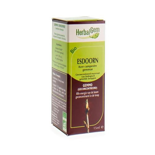 Herbalgem Esdoorn Maceraat 15ml - Herbalgem - InstaCosmetic