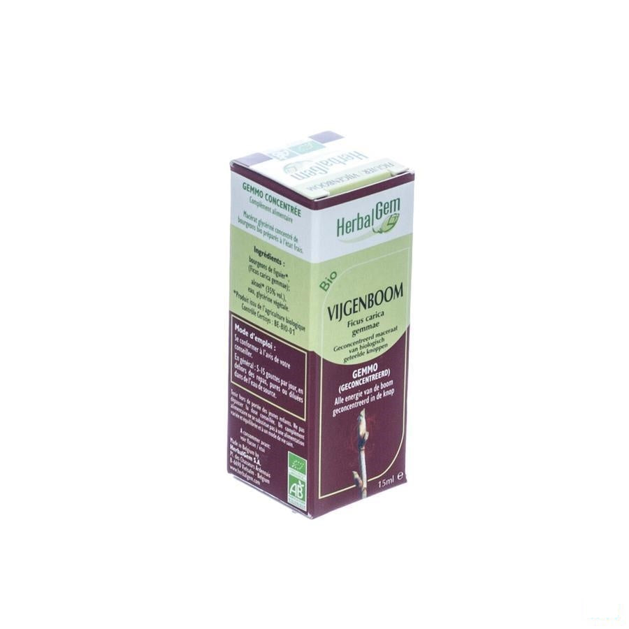 Herbalgem Vijgenboom Maceraat 15ml