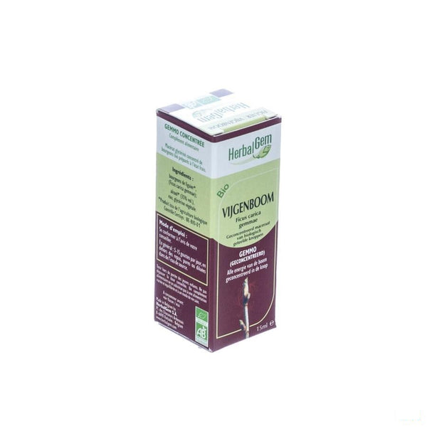 Herbalgem Vijgenboom Maceraat 15ml - Herbalgem - InstaCosmetic