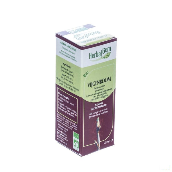 Herbalgem Vijgenboom Maceraat 50ml - Herbalgem - InstaCosmetic