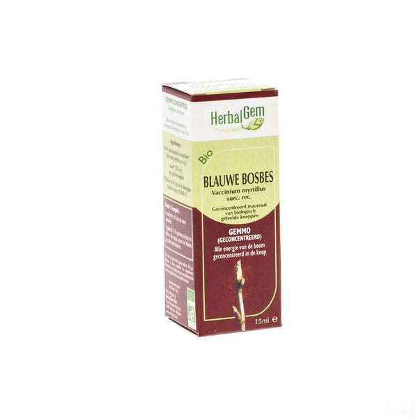 Herbalgem Blauwe Bosbes Maceraat 15ml - Herbalgem - InstaCosmetic
