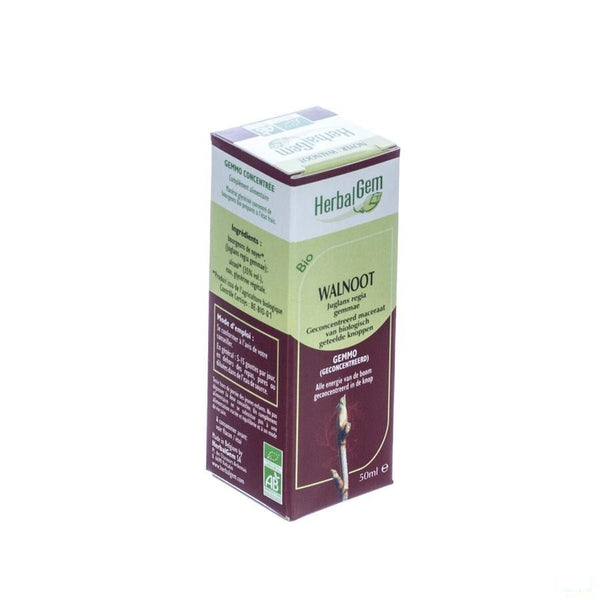 Herbalgem Walnoot Maceraat 50ml - Herbalgem - InstaCosmetic