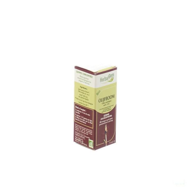 Herbalgem Olijfboom Maceraat 15ml - Herbalgem - InstaCosmetic