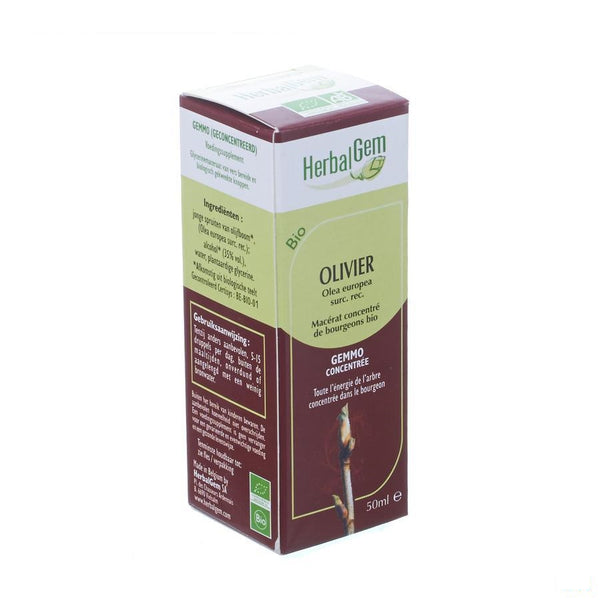 Herbalgem Olijfboom Maceraat 50ml - Herbalgem - InstaCosmetic