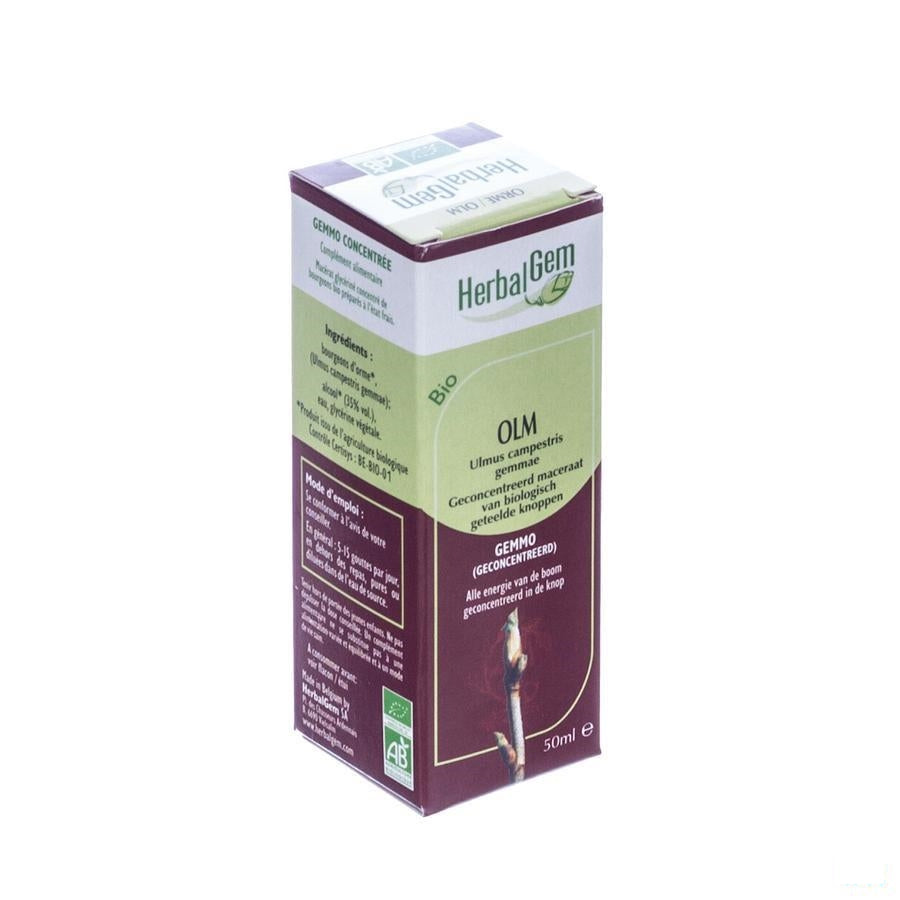 Herbalgem Olm Maceraat 50ml