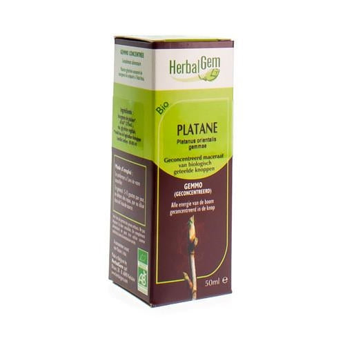 Herbalgem Plataan Maceraat 50ml - Herbalgem - InstaCosmetic