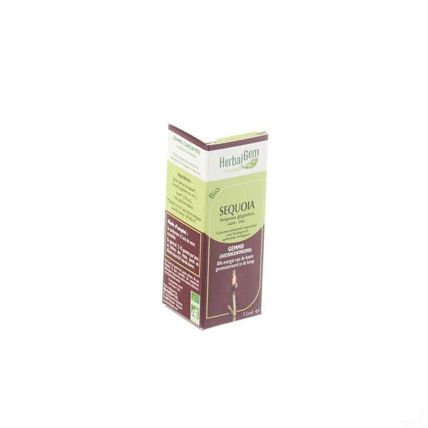 Herbalgem Sequoia Maceraat 15ml - Herbalgem - InstaCosmetic