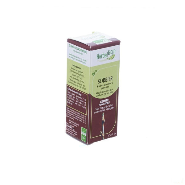 Herbalgem Lijsterbes Maceraat 15ml - Herbalgem - InstaCosmetic