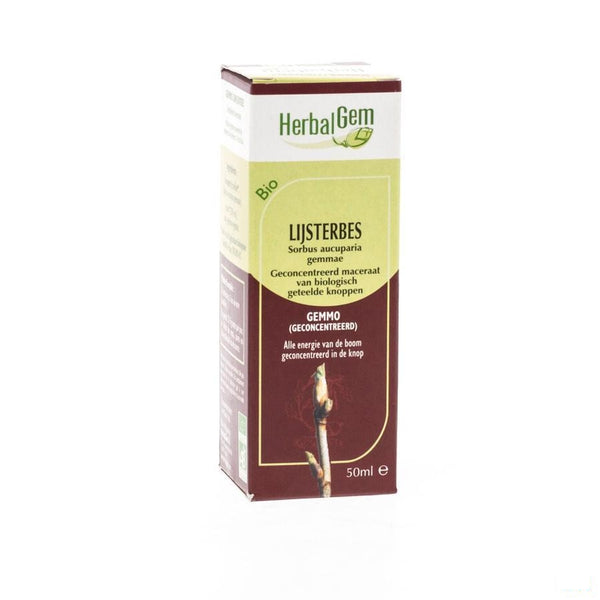Herbalgem Lijsterbes Maceraat 50ml - Herbalgem - InstaCosmetic