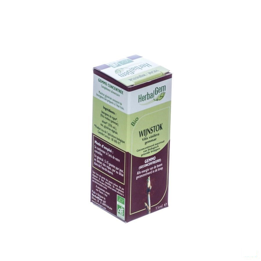 Herbalgem Wijnstok Maceraat 15ml