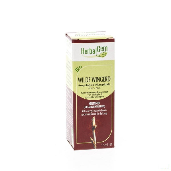 Herbalgem Wilde Wingerd Maceraat 15ml - Herbalgem - InstaCosmetic
