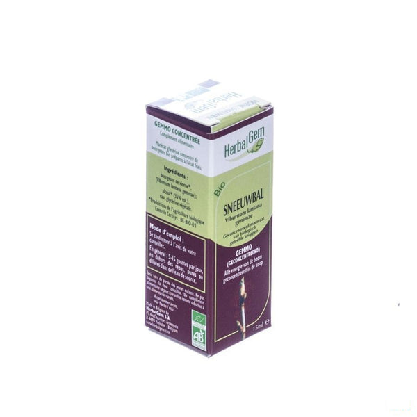 Herbalgem Wollige Sneeuwbal Maceraat 15ml - Herbalgem - InstaCosmetic